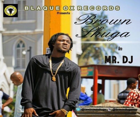 Brown Shuga - Mr DJ