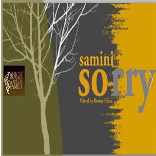 Samin - Sorry (Justin bieber cover) (Mixed by Brainy beatz)