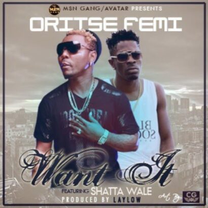 Oritse Femi Ft. Shatta Wale - Want It