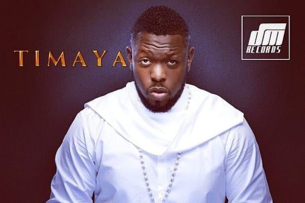 Timaya ft. Tupengo Sanko (Remix) (MixedMastered by S.T.O beats)