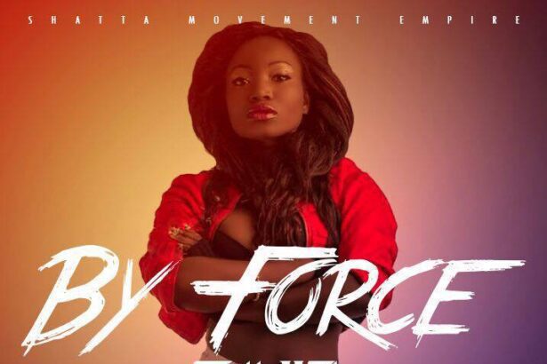 Shatta Wale - By Force