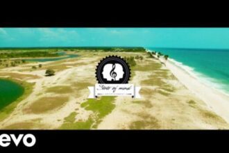 DJ Spinall - Ojukokoro ft. Niniola (Official Video)