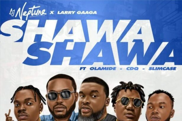 DJ Neptune - Shawa Shawa ft. Larry Gaga x Olamide x CDQ x Slimcase