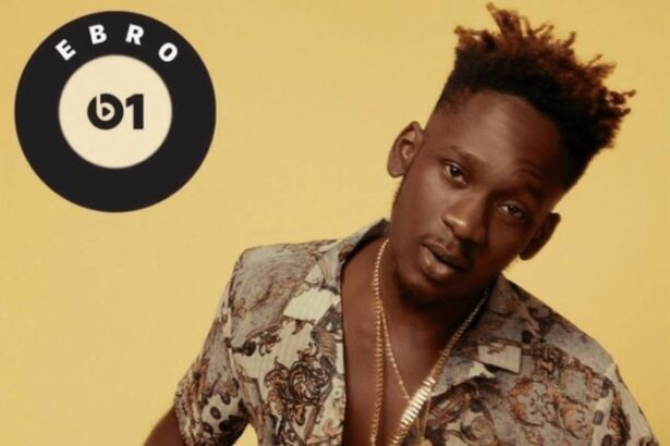 Mr Eazi - Meant To Be ft. Lousika