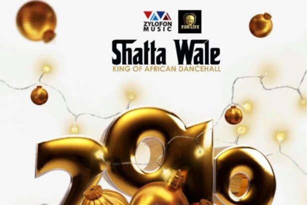 Shatta Wale - 2019 (Prod. by Itz CJ Beatz)