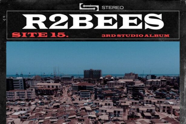 R2Bees - Wabaso