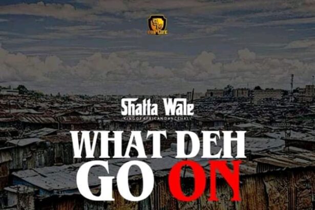 Shatta Wale - What Deh Go On (Prod. by No Joke)