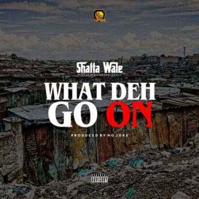 Shatta Wale - What Deh Go On (Prod. by No Joke)