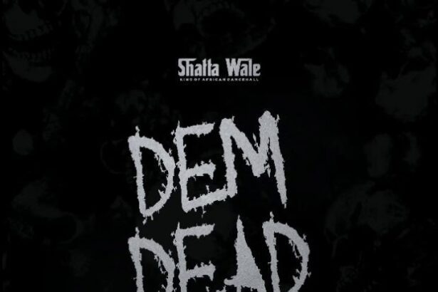 Shatta Wale - Dem Dead (Prod. By YGF)