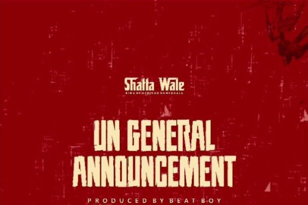 Shatta Wale - UN General Announcement (Prod. By Beat Boy) {Samini diss}