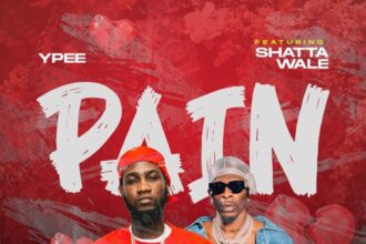 Ypee feat. Shatta Wale - Pain