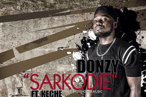 MUSIC: Donzy ft. Keche - Sarkodie (Prod by NshoonaMusic)