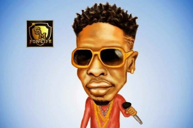 Music: Shatta Wale - Fi De Paper