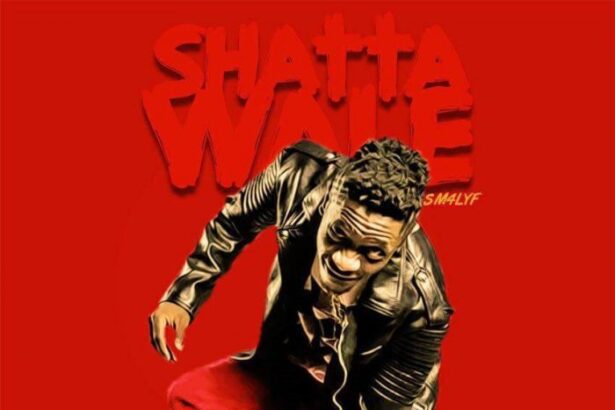 Shatta Wale - Pree Mi Era