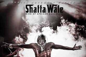 stamina shatta wale