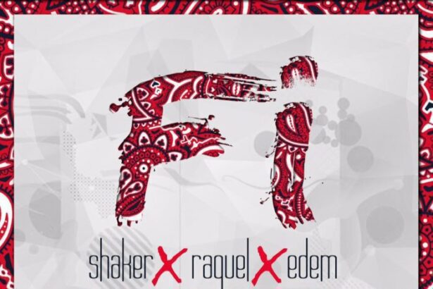 Shaker-ft. Raquel Edem Fi