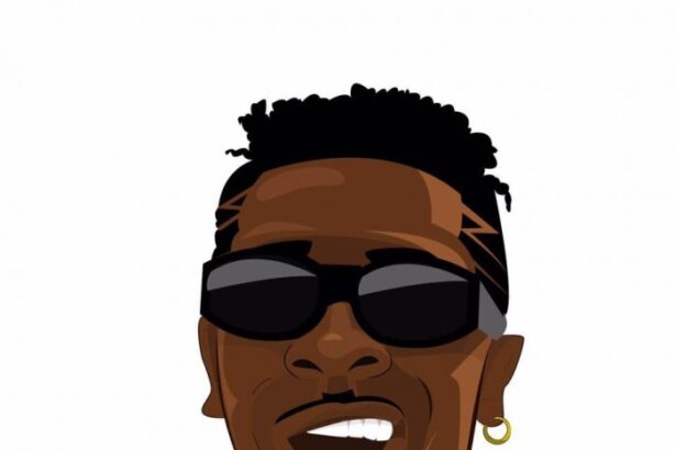 Shatta Wale - Rise My Gun (Prod. By Dj Breezy)