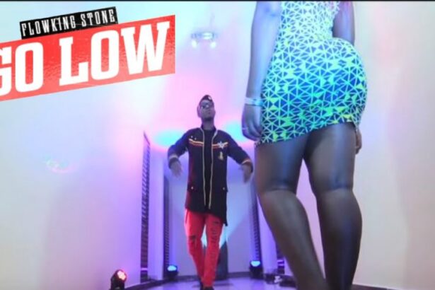 Flowking Stone - Go Low (Music Video)+mp3/mp4 Downloads