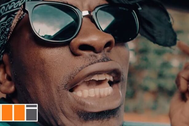 Shatta Wale - Mechanism (Official Video) +mp3/mp4 download