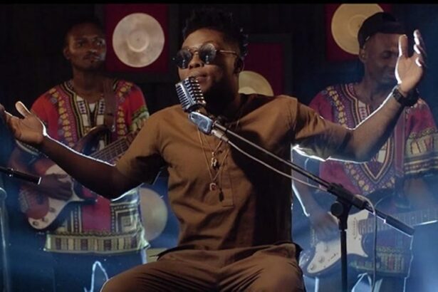 Reekado Banks - Ladies and Gentlemen (Official Video)