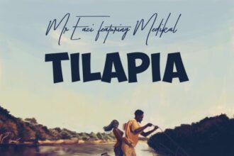 Mr Eazi - Tilapia ft. Medikal