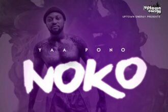 Yaa Pono - Noko (Shatta Wale Diss) (Prod. by Jay Twist)