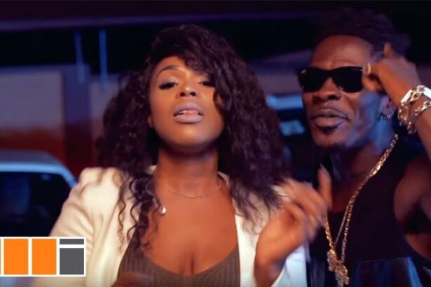 Shatta Wale - Don't Go There (Official Video) +mp3/mp4 Download