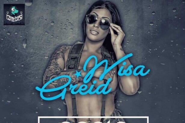 Wisa Greid - Aapla Mokobi (Download Mp3)