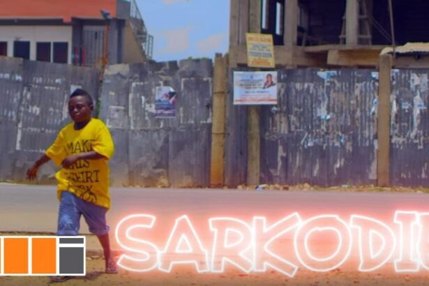 Sarkodie - Gboza (Official Video) +mp3 Download