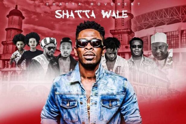 Shatta Wale - Tamale (prod. by M.O.G)