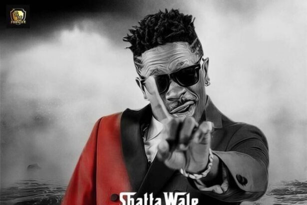 SHATTA WALE - CLOUD 9 {HIPHOP MIXTAPE DOWNLOAD}