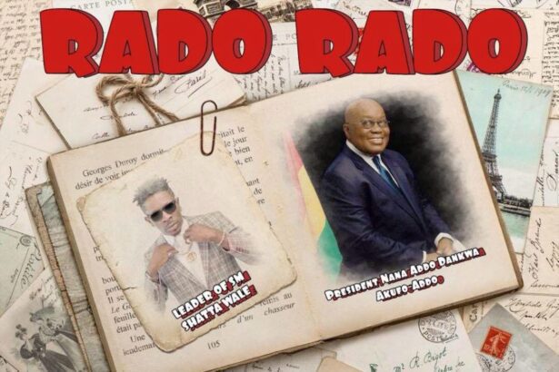 Download: Shatta Wale - Rado Rado (PROD..BY M.o.g)