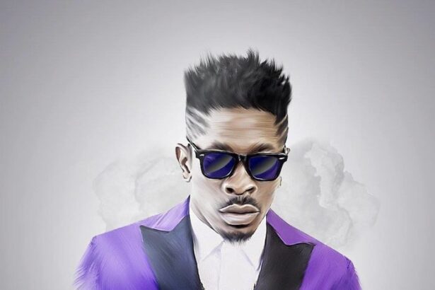 Shatta Wale - Commander Bush (Prod. By B2)