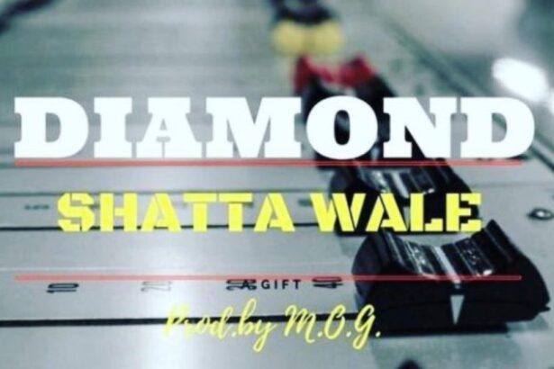 Shatta Wale - Diamond (Baking Soda) (Prod. by MOG)