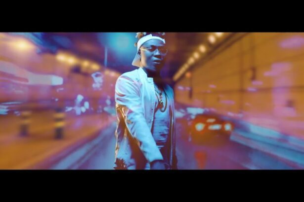 Reekado Banks - Like ft. Tiwa Savage x Fiokee (Official Video)