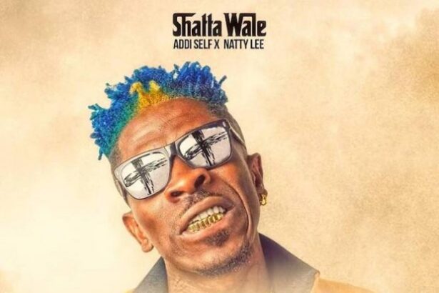 Shatta Wale x Natty Lee x Addi Self - True Believer (Prod. by M.O.G Beatz)