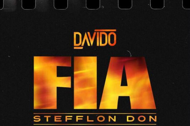 Davido - FIA Remix ft. Stefflon Don