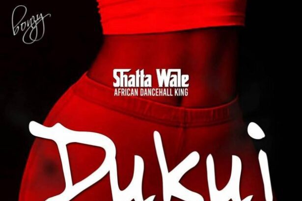 Shatta Wale - Dukui (Prod. WillysBeatz)