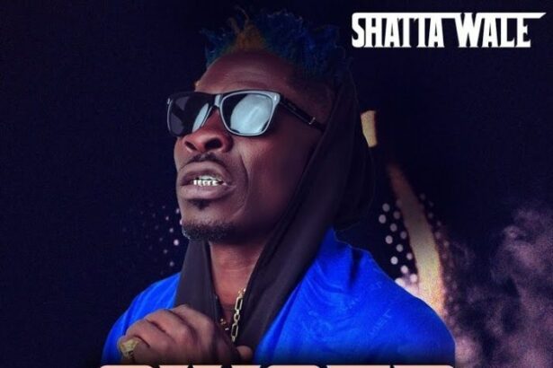 Shatta Wale - Ginger (Prod. By MOG)