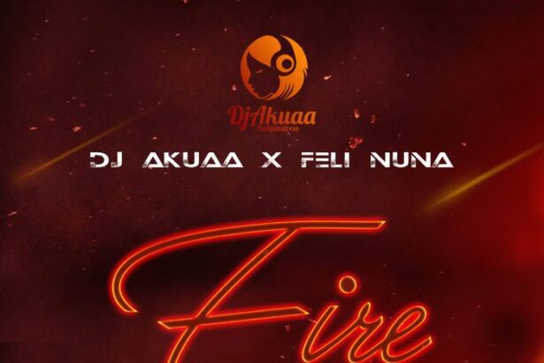 Dj Akuaa feat. Feli Nuna - Fire (Prod by. Apya)