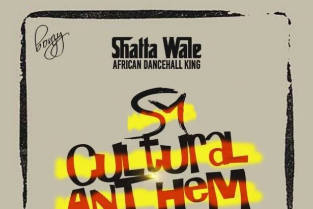 Shatta Wale - SM Cultural Anthem (Prod. by Paq)