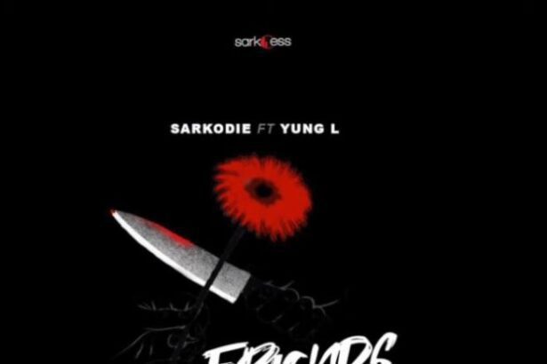 Sarkodie - Friends To Enemies ft. Yun L