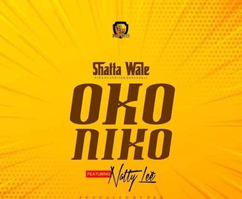 Shatta Wale ft. Natty Lee - Oko Niko (Prod. by Paq)