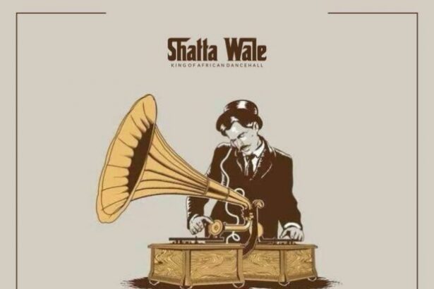 Shatta Wale - Changer