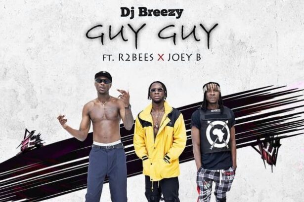 DJ Breezy - Guy Guy ft. R2Bees x Joey B (Prod-by-DJ-Breezy)