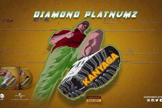 Diamond Platnumz – Kanyaga