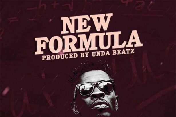 Shatta Wale - New Formula (Prod by UndaBeat)