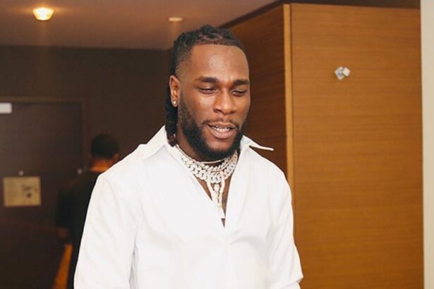 Burna Boy - Collateral Damage