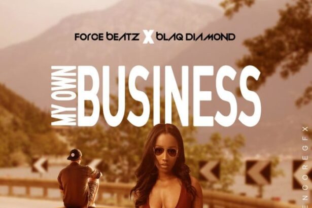 Force Beatz X Blaq Diamond - My Own Business (Prod. By Force Beatz)