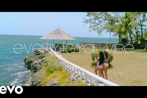 Jahvillani, Konshens - Every Gyal Vibe (Official Video)